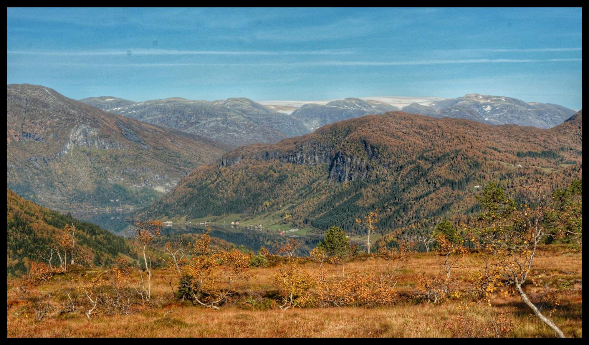 Tuftegarden Viksdalen Exterior foto