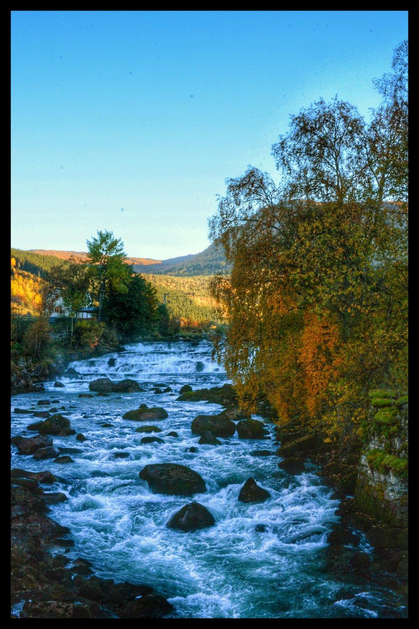 Tuftegarden Viksdalen Exterior foto