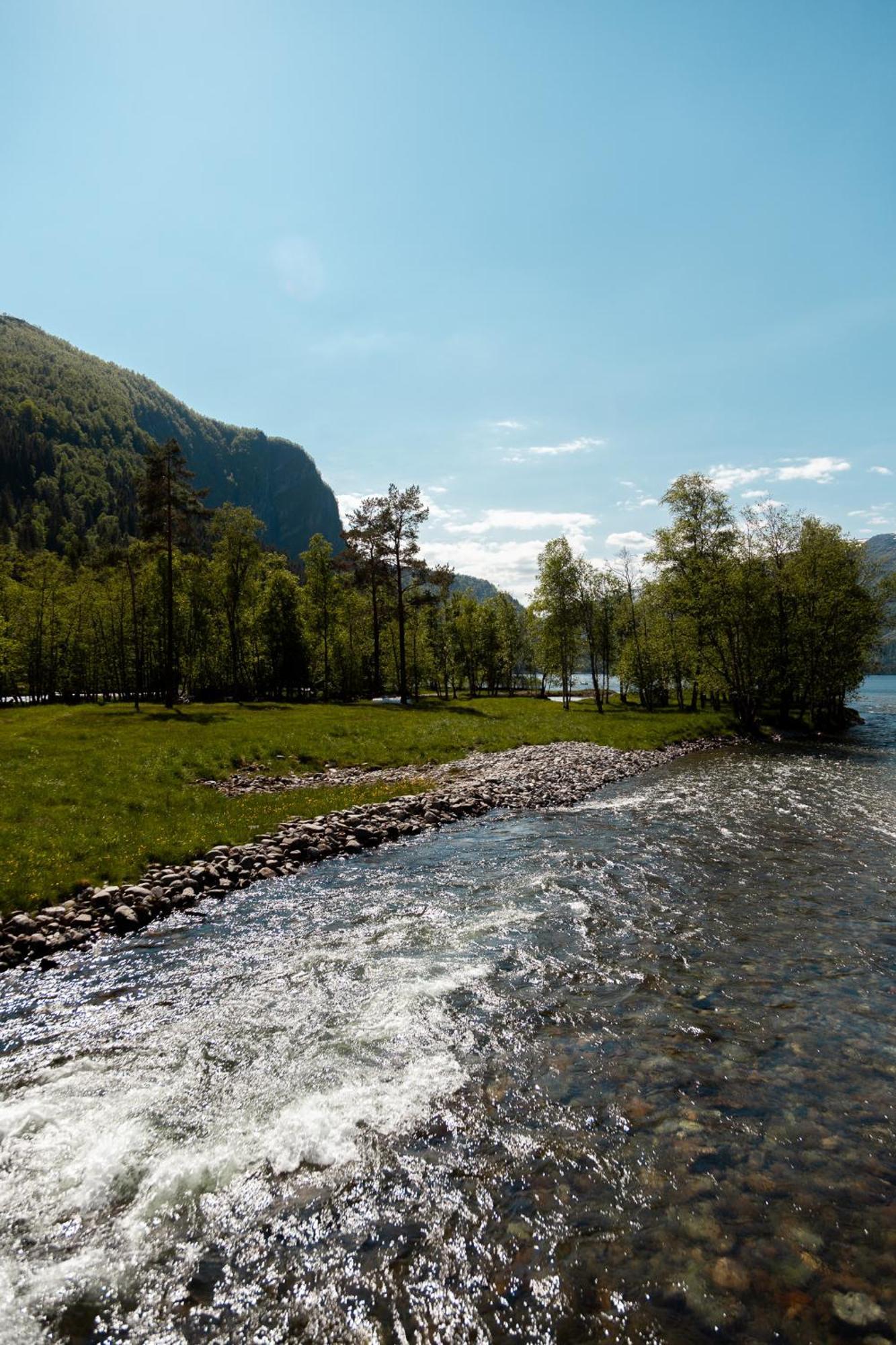 Tuftegarden Viksdalen Exterior foto