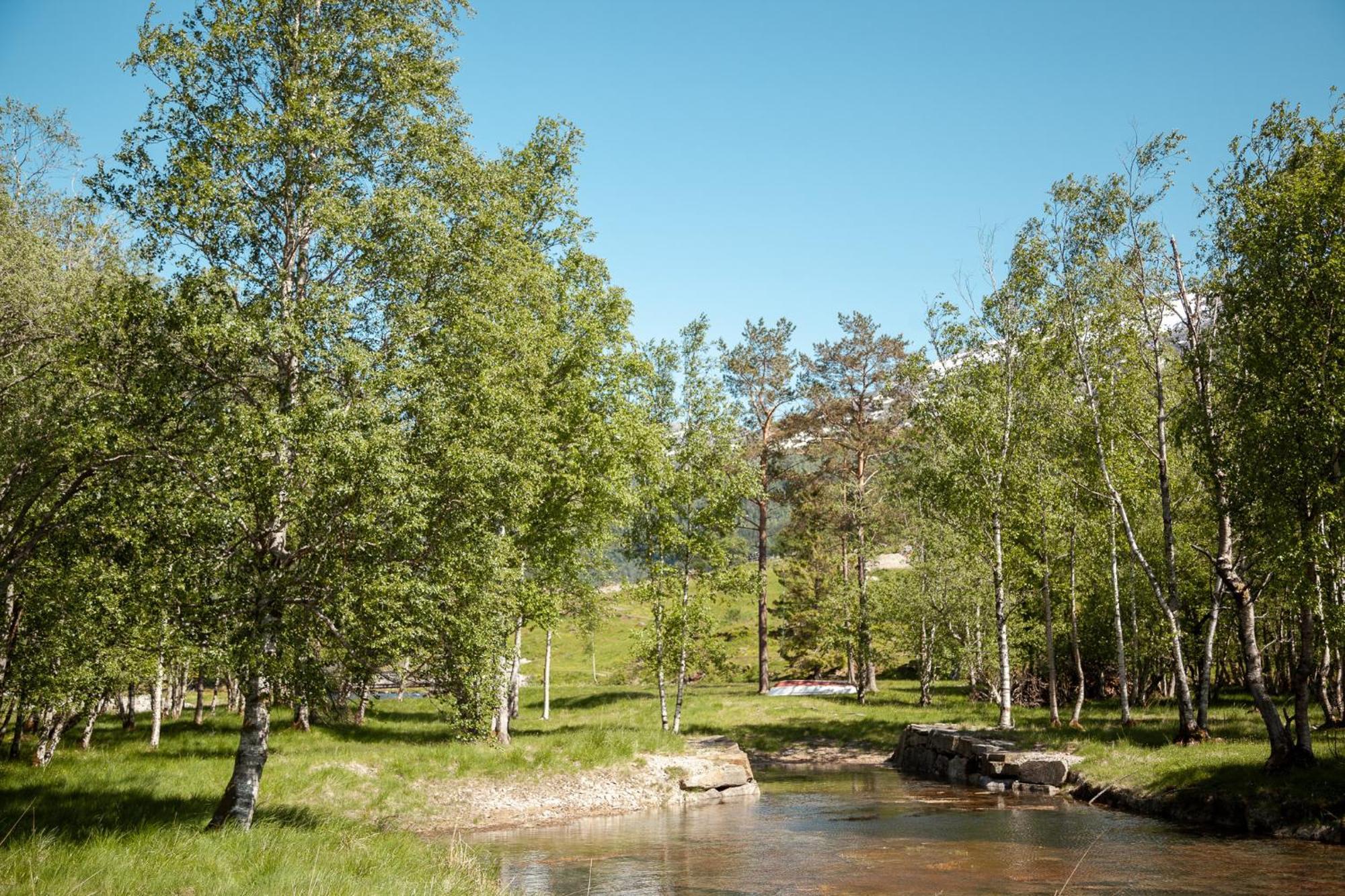 Tuftegarden Viksdalen Exterior foto