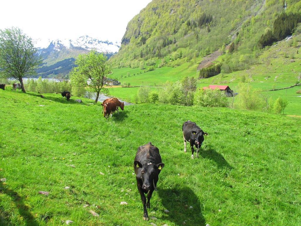 Tuftegarden Viksdalen Exterior foto